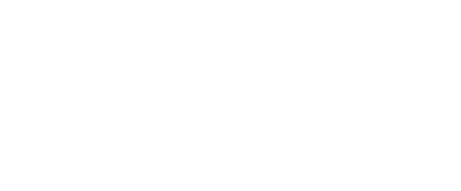 European Triathlon